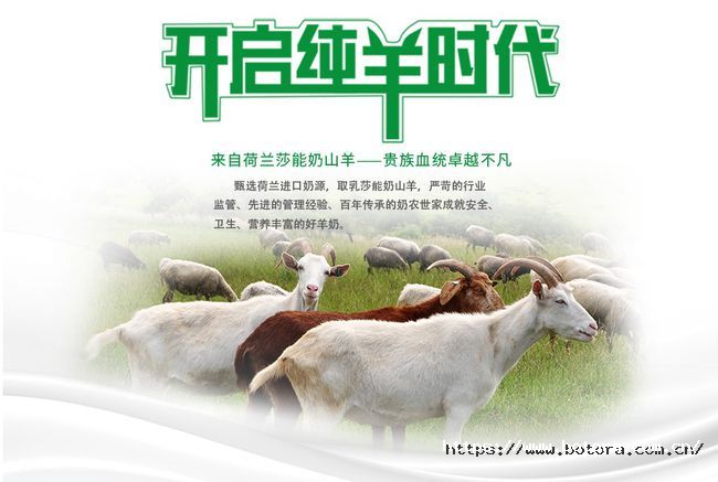 圖片5.jpg